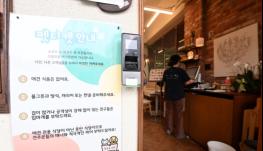 8월부터 식당에 강아지도 함께… 반려동물 출입 완화 전망 기사 이미지